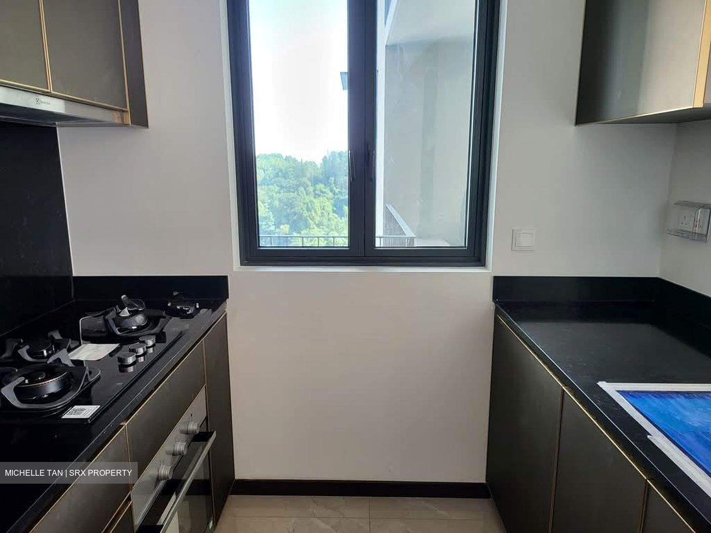 Normanton Park (D5), Apartment #572198051